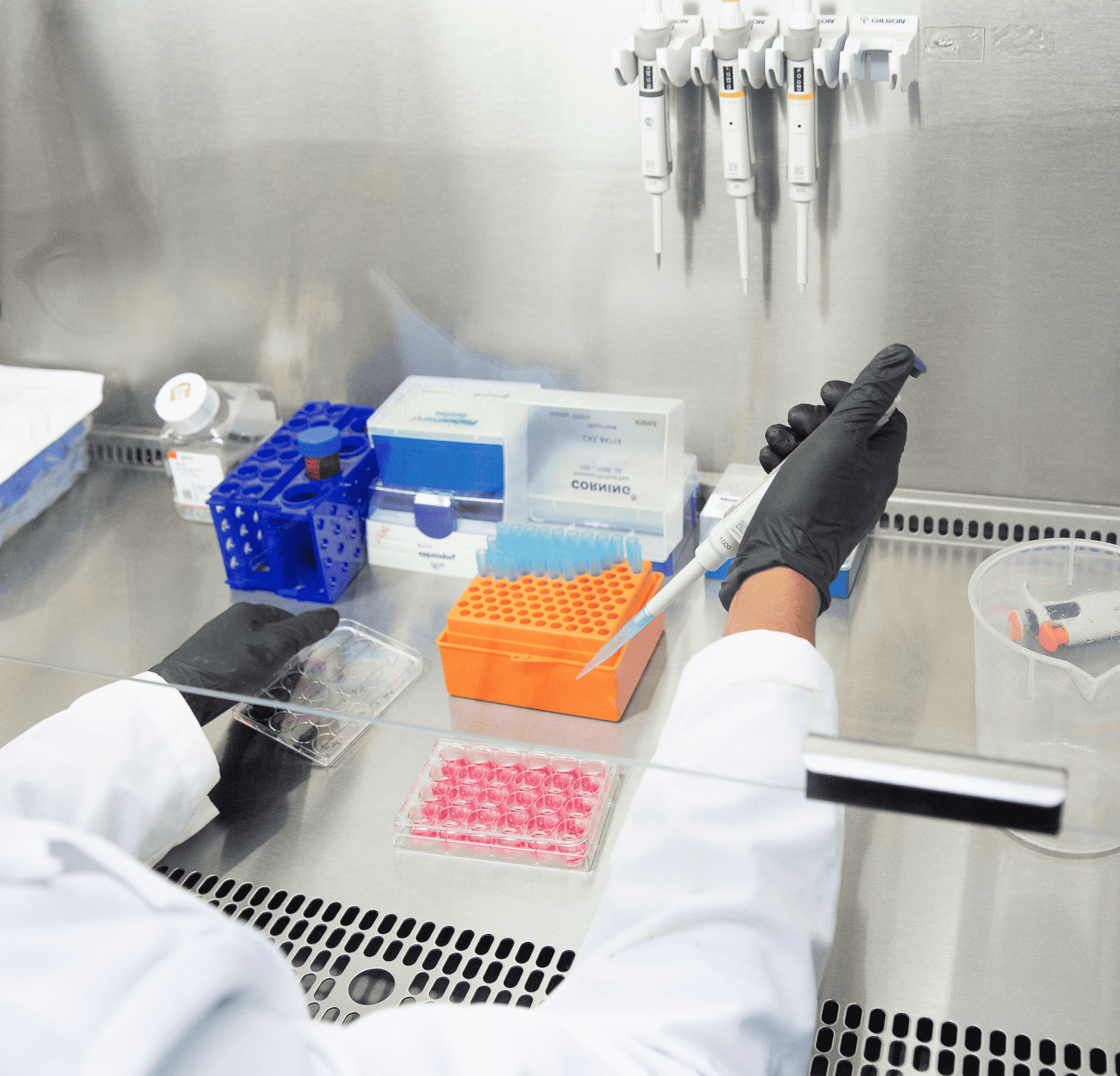 Researcher in lab