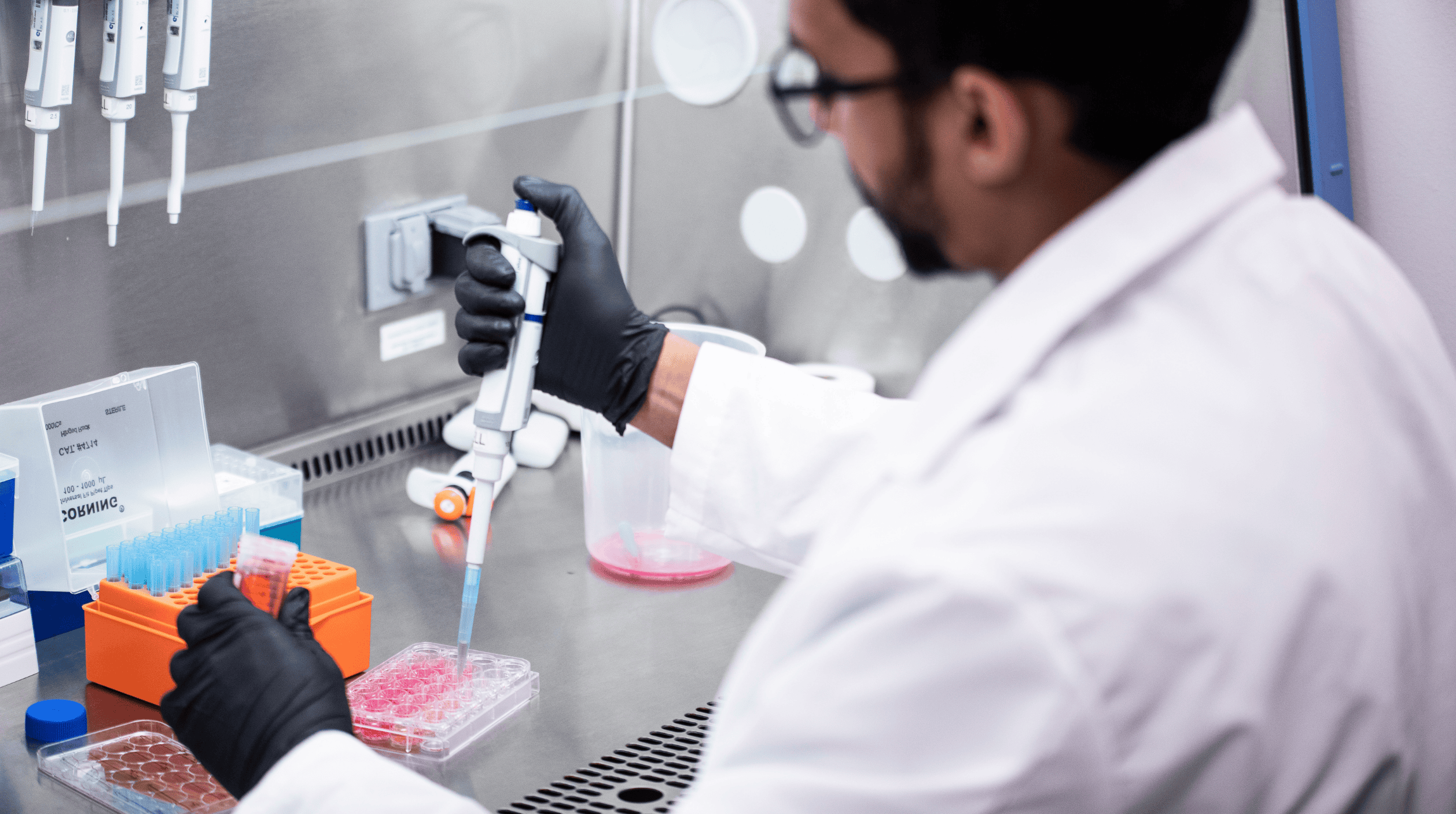Researcher in lab