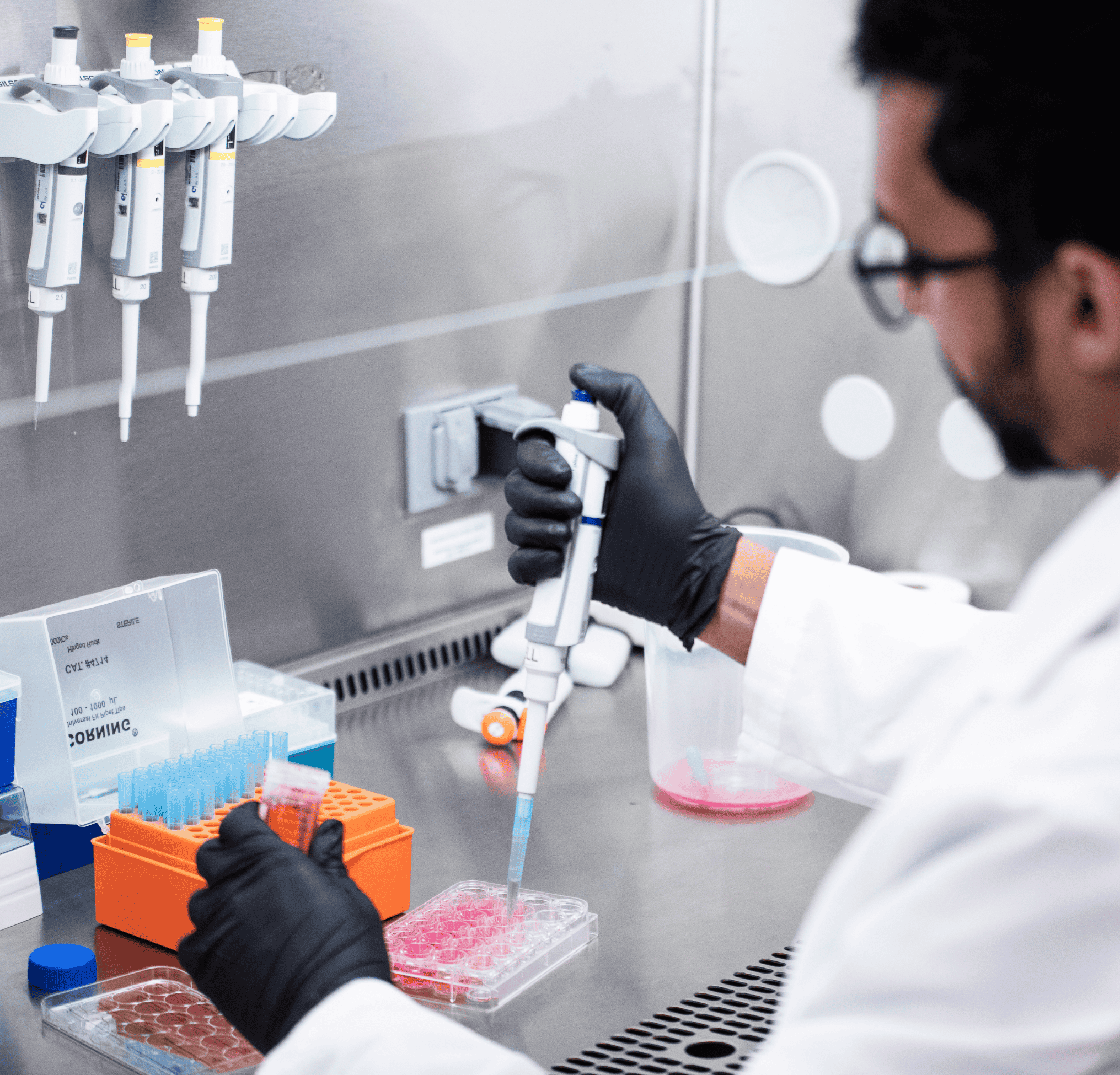 Researcher in lab