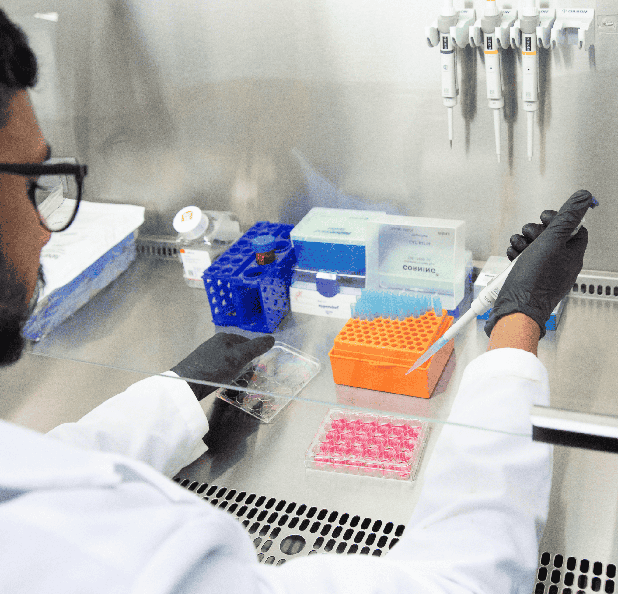Researcher in lab
