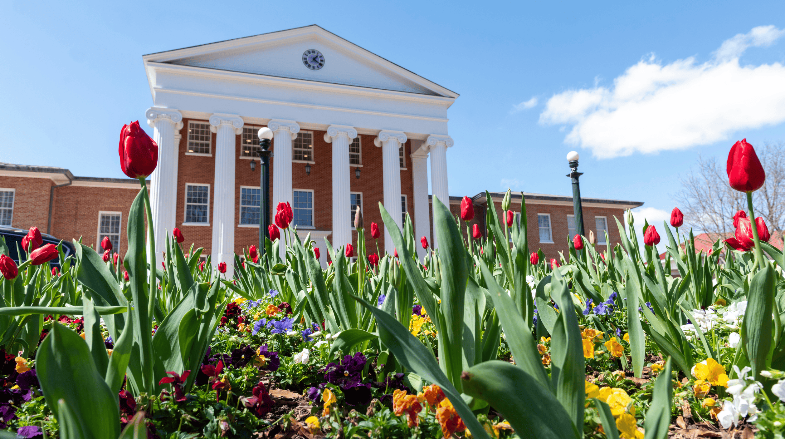 Photo of flowers in front of Lyceum