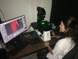 Instructor Uses Microscope and Computer Software